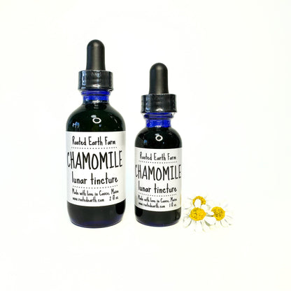 Chamomile Tincture