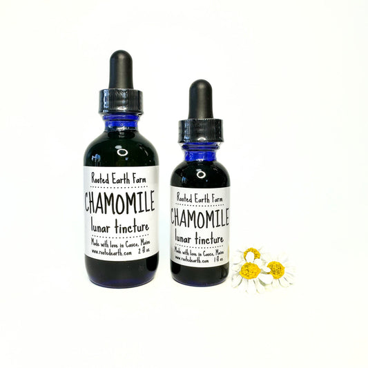 Chamomile Tincture