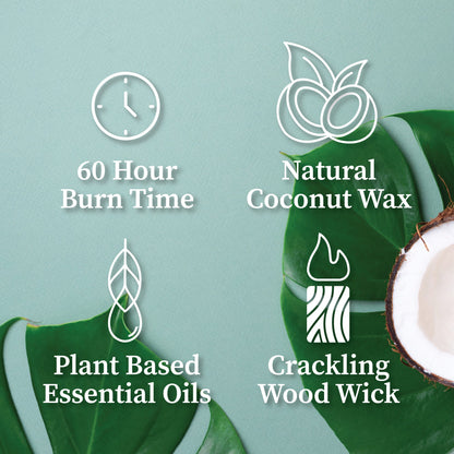 Yuzu Citrus | Wood Wick Candle with Natural Coconut Wax
