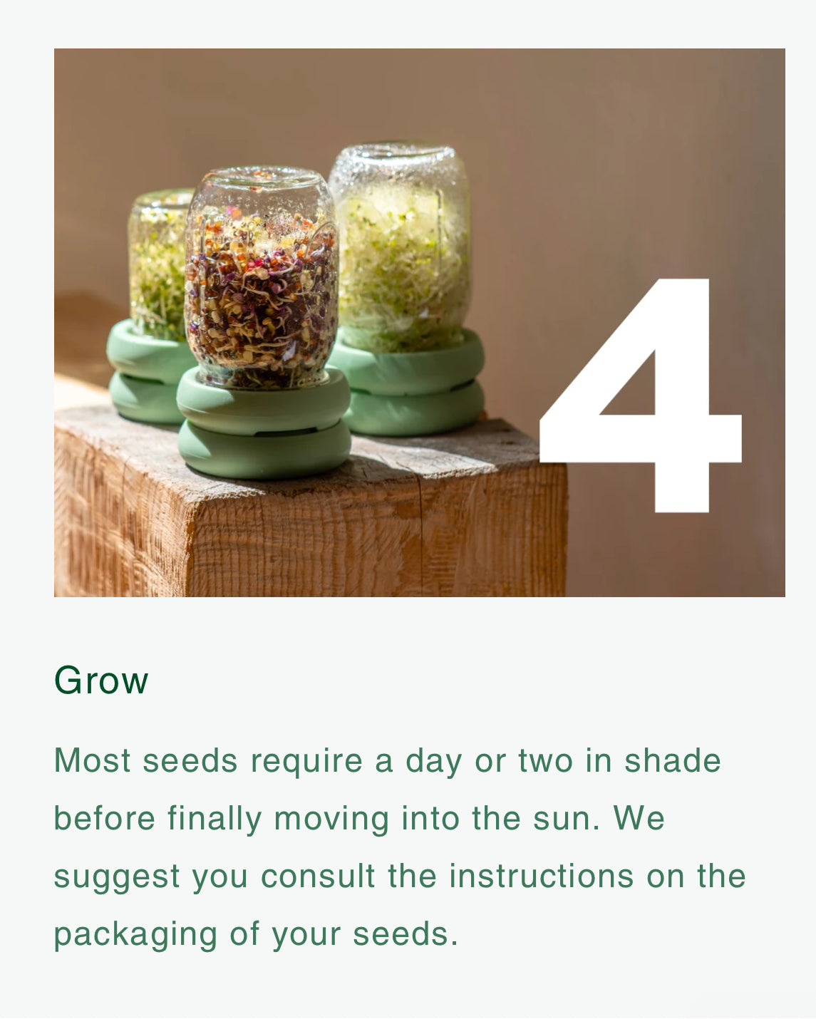 Food Huggers Micro Greens Kit