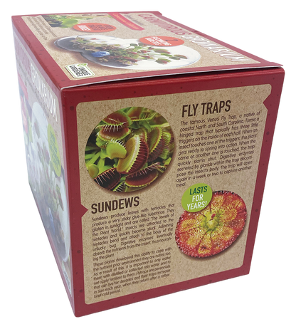 Carnivorous Growarium Meat-Eating Seed Terrarium Kit