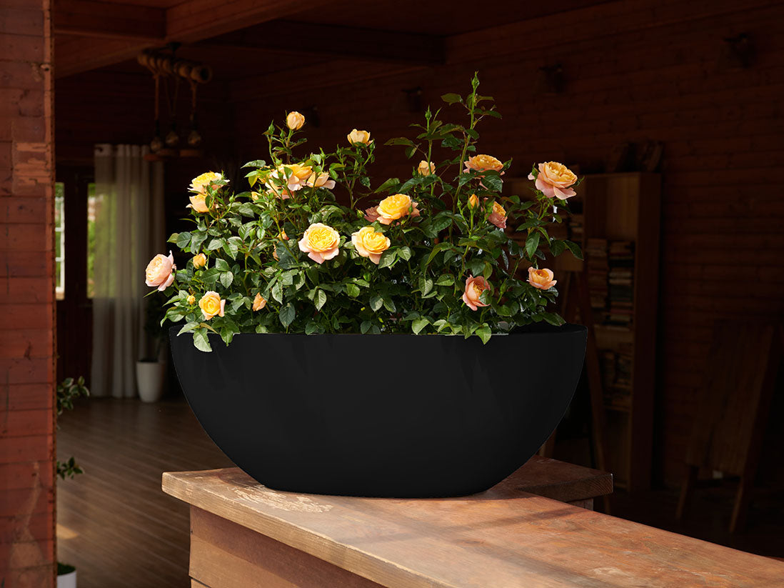 Low Oval Planters By Plantatorem