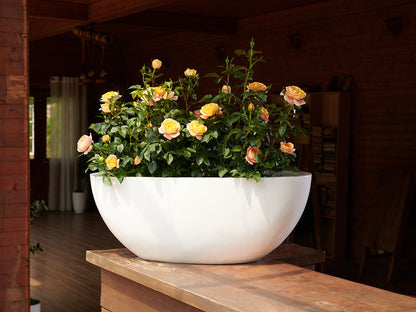 Low Oval Planters By Plantatorem