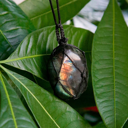 Magic & Mystery Heart Of Dragon Necklace