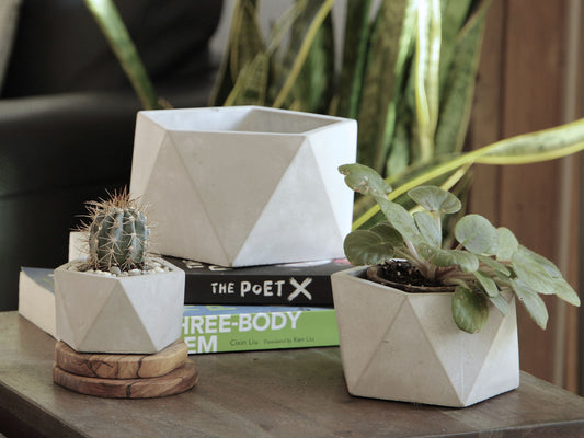 Geometry Pentagon Planter By Plantatorem