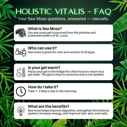 Caribbean Sunrise Sea Moss Gel Trio