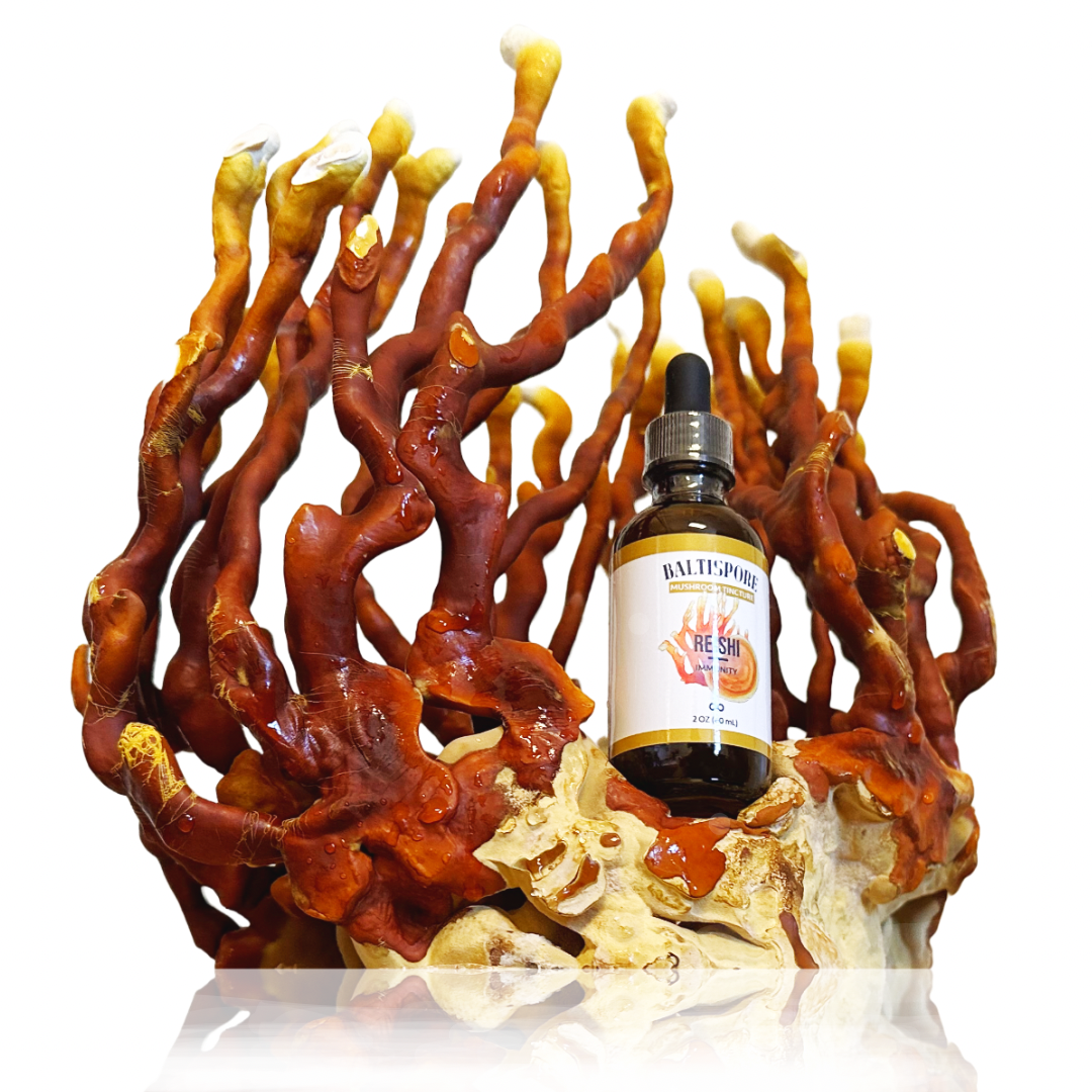 Reishi Mushroom Tincture