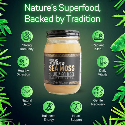 Caribbean Sunrise Sea Moss Gel Trio