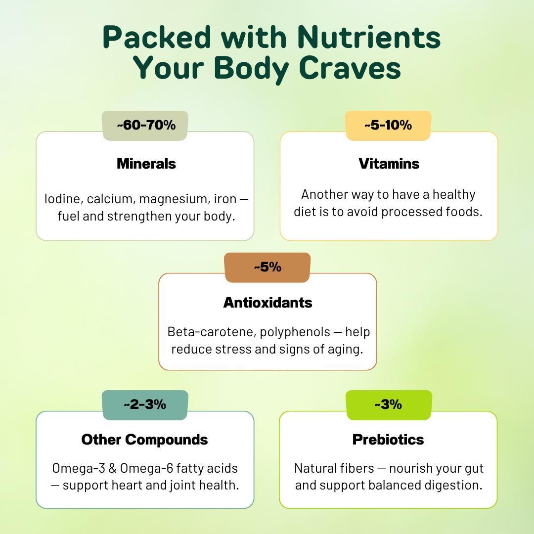 THE HV Powerhouse Bundle