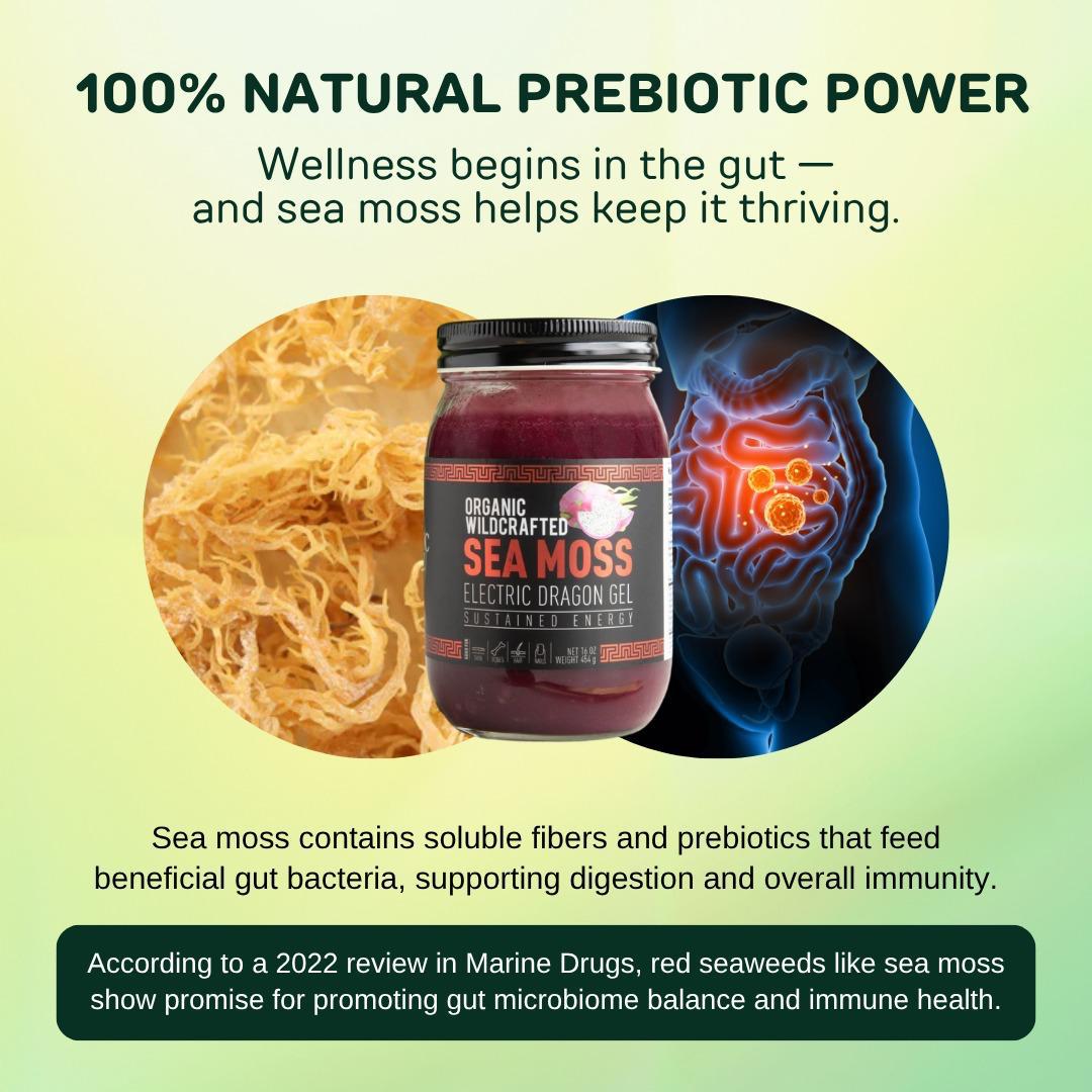 Caribbean Sunrise Sea Moss Gel Trio