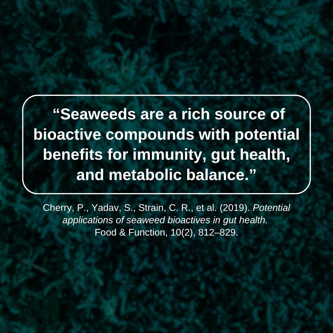 THE HV Powerhouse Bundle