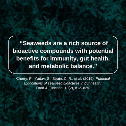 The Tropical Trio Bundle