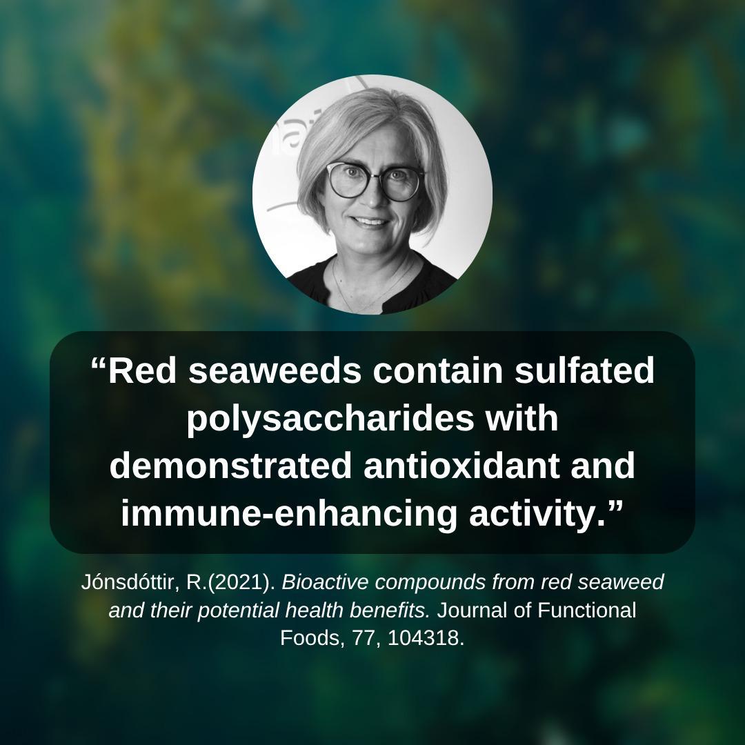 THE HV Powerhouse Bundle