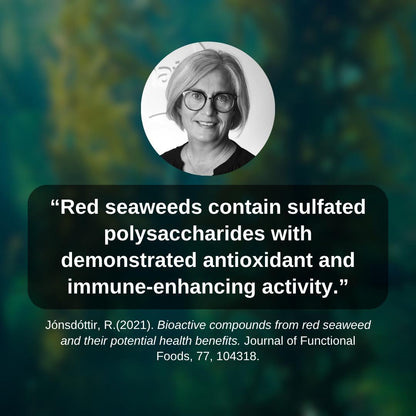 The Tropical Trio Bundle