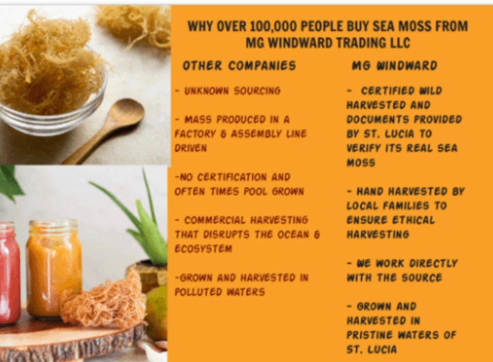 Wild Harvested Purple Certified Raw Sea Moss
