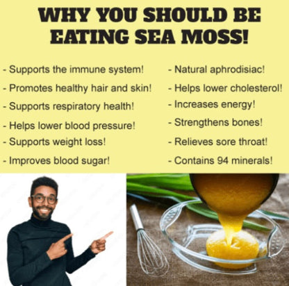 Wild Harvested Purple Certified Raw Sea Moss