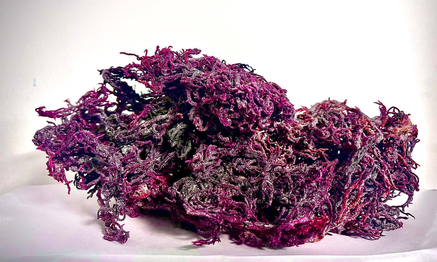 Wild Harvested Purple Certified Raw Sea Moss