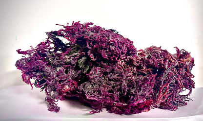 Wild Harvested Purple Certified Raw Sea Moss