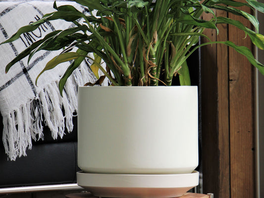 Melrose Modern Planter (LARGE) By Plantatorem
