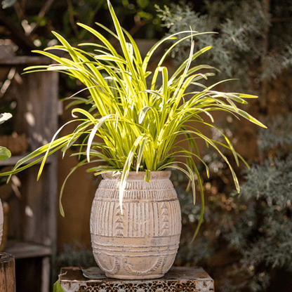 Yukun Terracotta Planter Stoneware