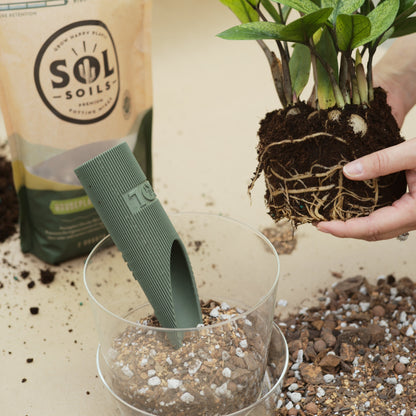 Houseplant Chunky Mix