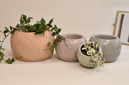 Leaf Bowl Planter