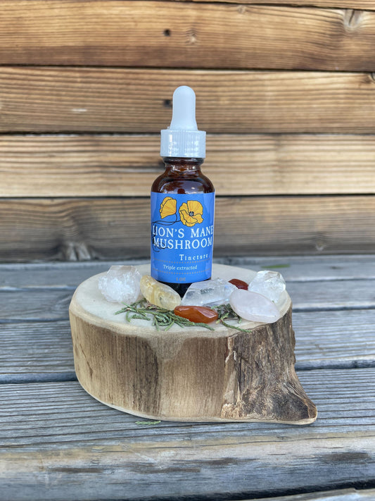 Lion's Mane Mushroom Tincture 1 oz, Organic, Triple Extracted