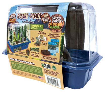 Desert Plant Collection Mini World Terrarium