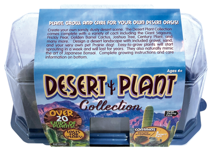 Desert Plant Collection Mini World Terrarium