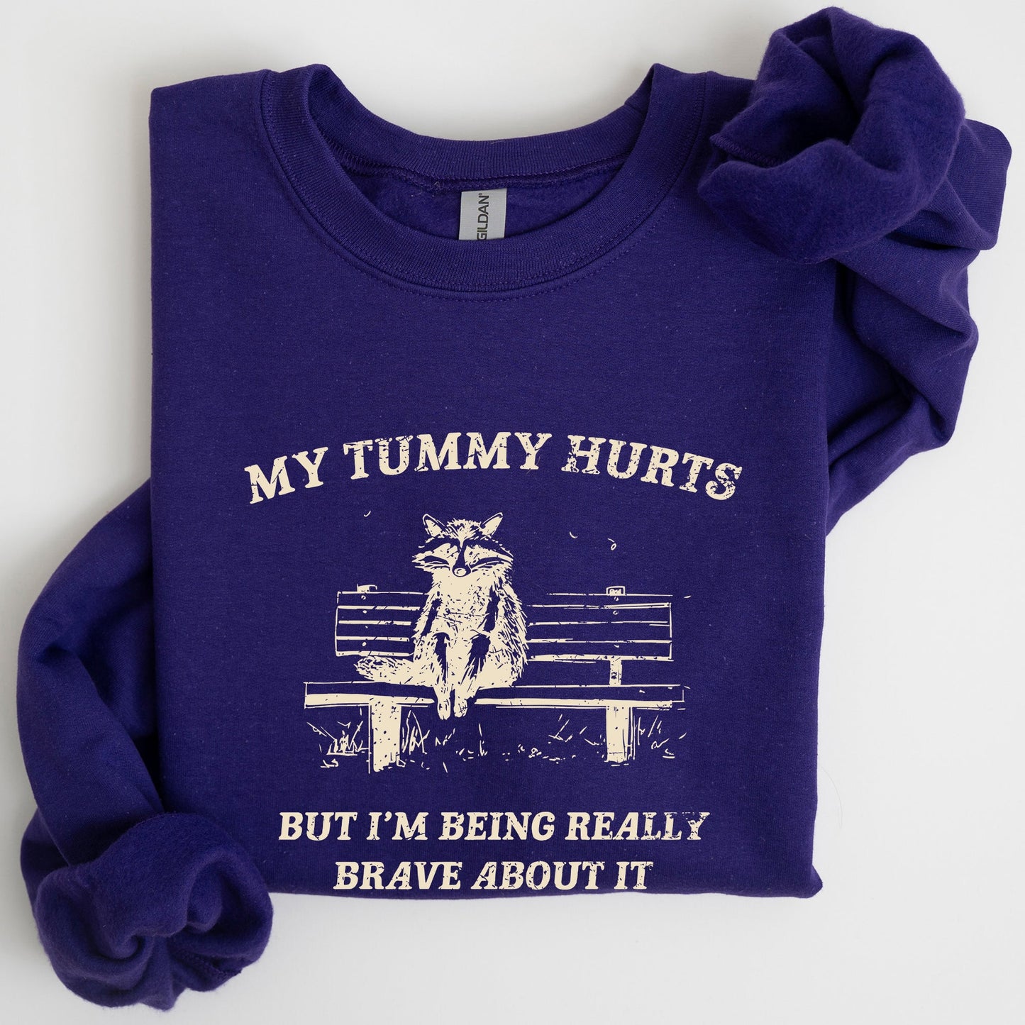 My Tummy Hurts, Raccoon, Meme, Aesthetic, Funny Sweatshirt