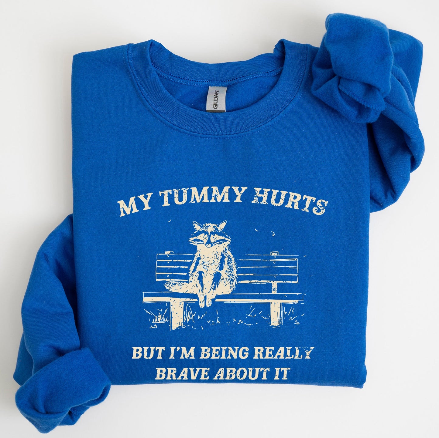 My Tummy Hurts, Raccoon, Meme, Aesthetic, Funny Sweatshirt