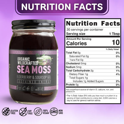 THE HV Powerhouse Bundle