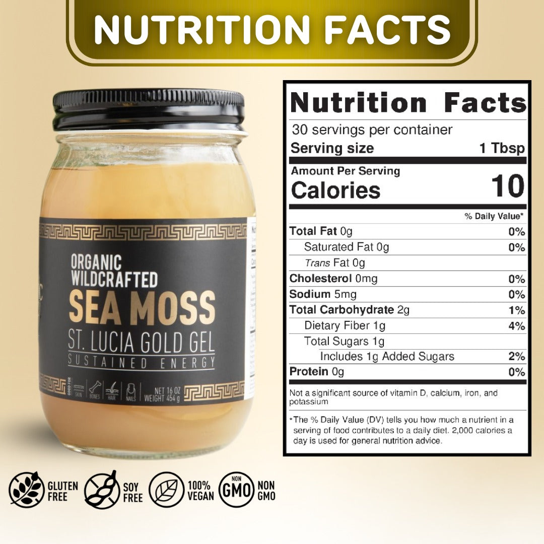 THE HV Powerhouse Bundle