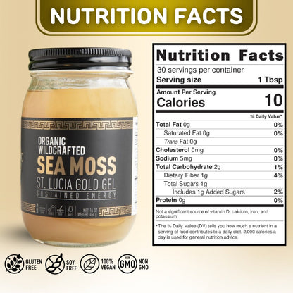 THE HV Powerhouse Bundle