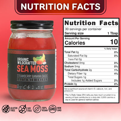 THE HV Powerhouse Bundle