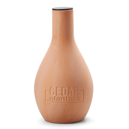 Self-Watering Clay Olla Pot