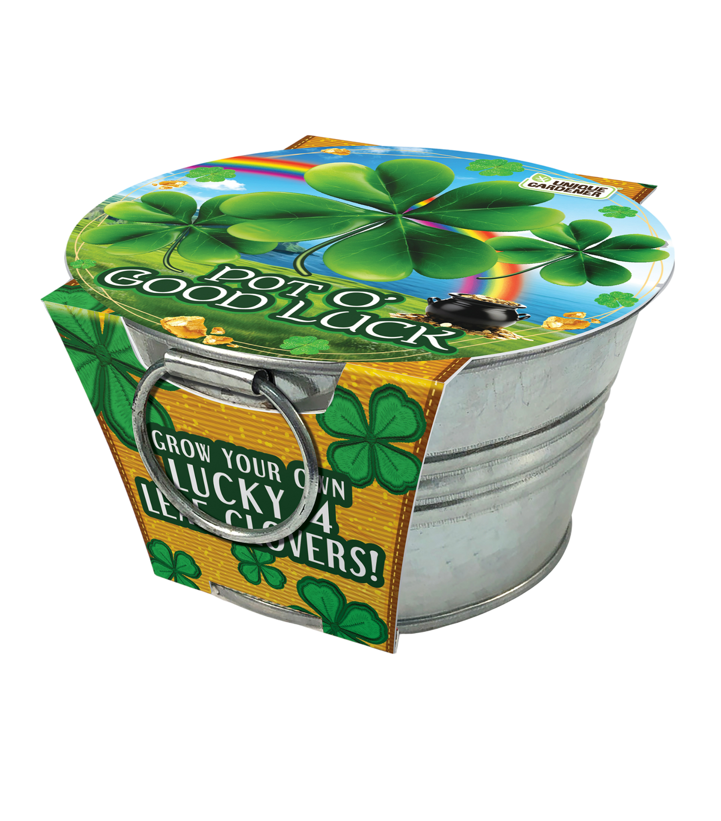 Pot O' Good Luck - Grow Your Own Shamrocks Multipack of 3