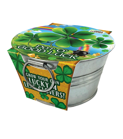 Pot O' Good Luck - Grow Your Own Shamrocks Multipack of 3