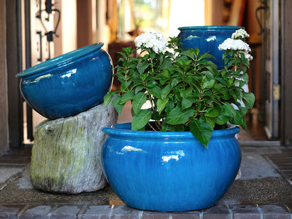 Low Jar Planter - Set of 3 By Plantatorem