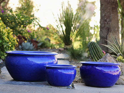 Low Jar Planter - Set of 3 By Plantatorem