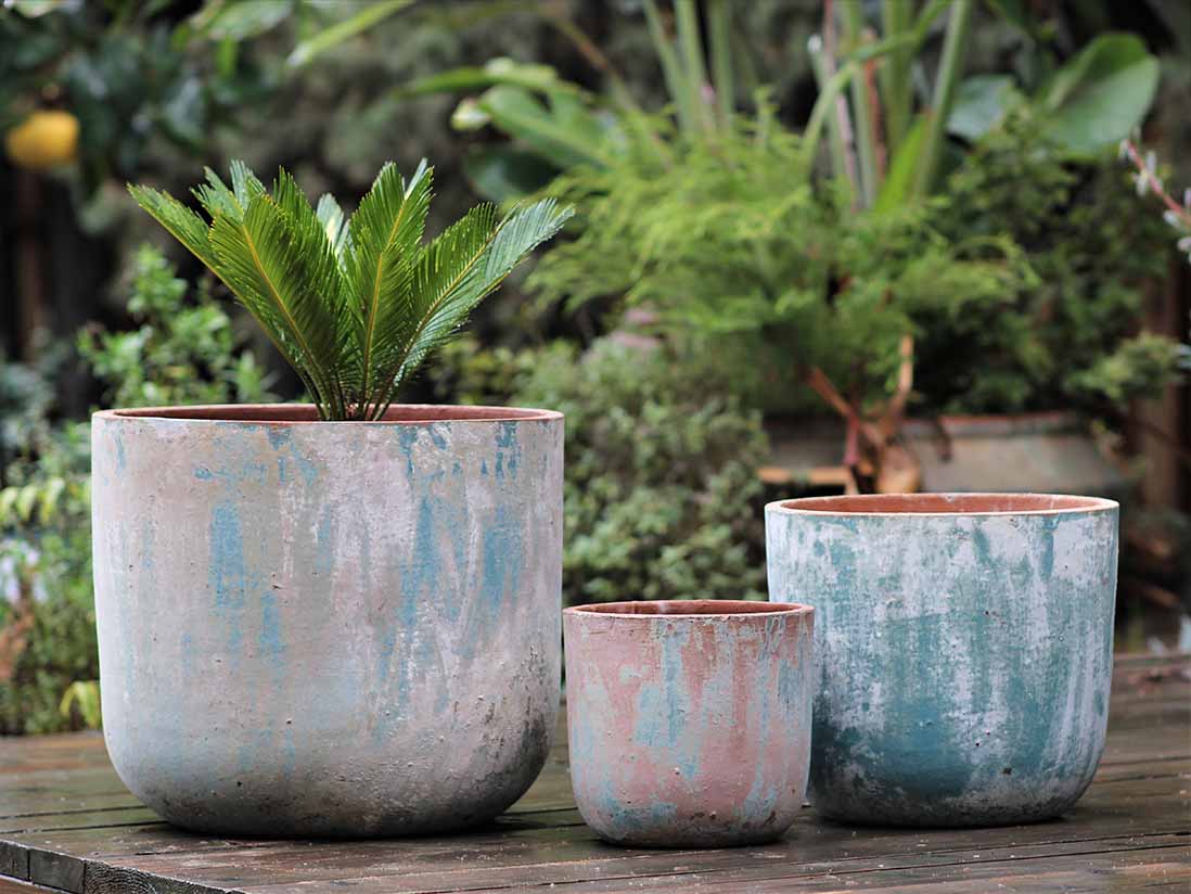 Milano Short Barrel Planter- Set of 3 By Plantatorem