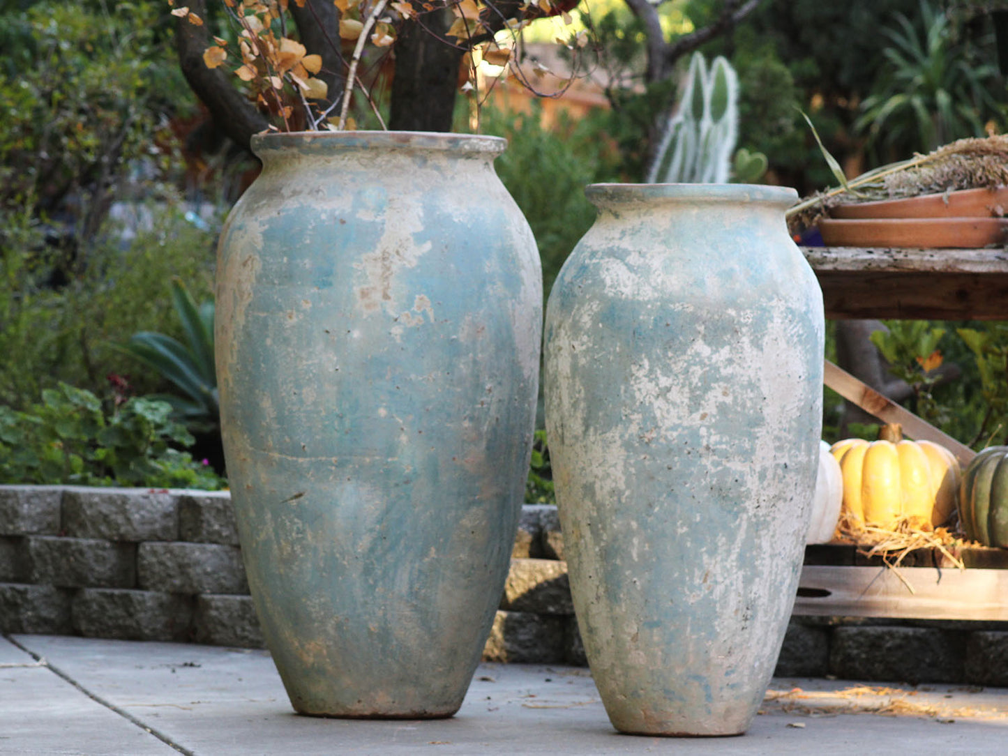 Jar del Portal By Plantatorem