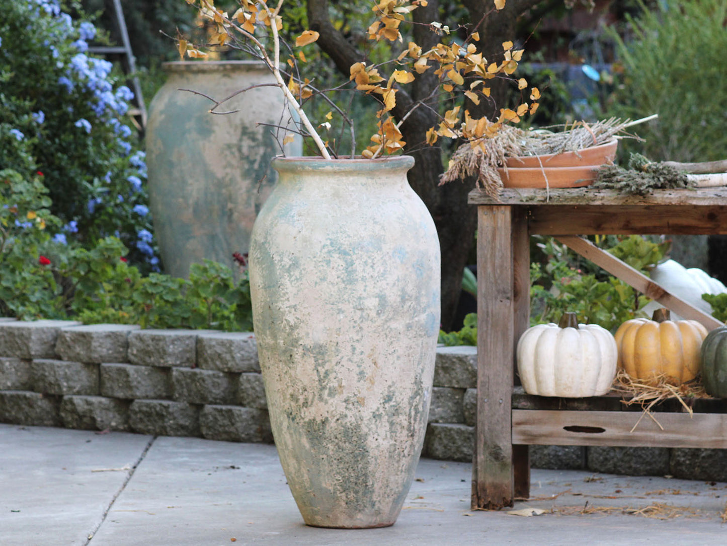 Jar del Portal By Plantatorem