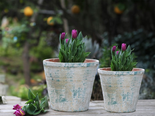 English Tumbled Pots Medium- Set of 2 By Plantatorem