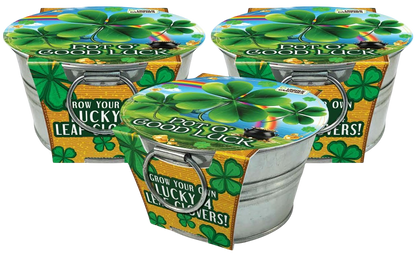 Pot O' Good Luck - Grow Your Own Shamrocks Multipack of 3