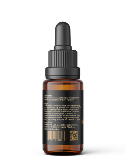 Red Belted Conk Mushroom Essence