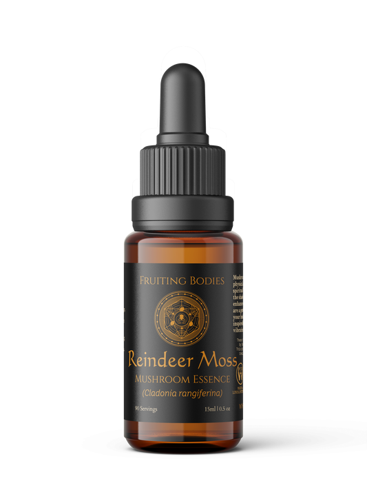 Reindeer Moss Mushroom Essence