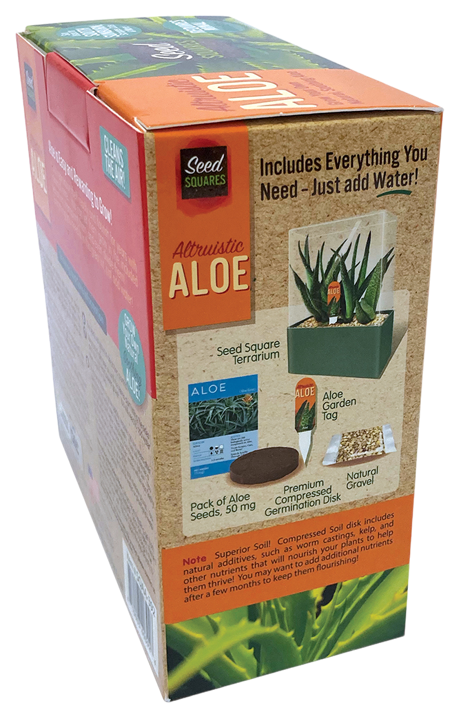 Aloe Seed Square Terrarium