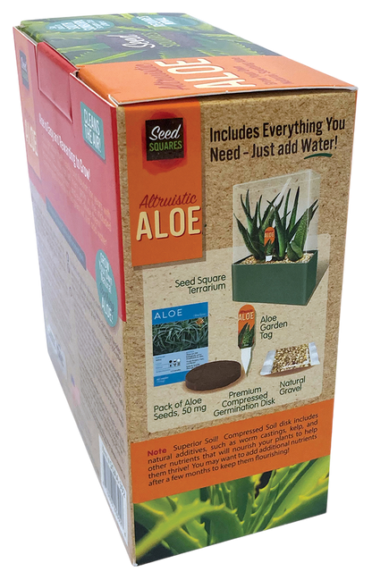 Aloe Seed Square Terrarium