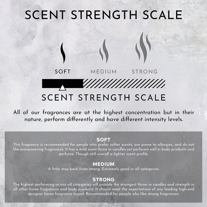 55oz Marine | Bergamot | Jasmine Candle (Inspired by The Ritz Carlton Hotel®)